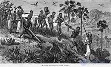 Slavery in the ancient and modern world, from the Aztecs to robots — features, essence, causes