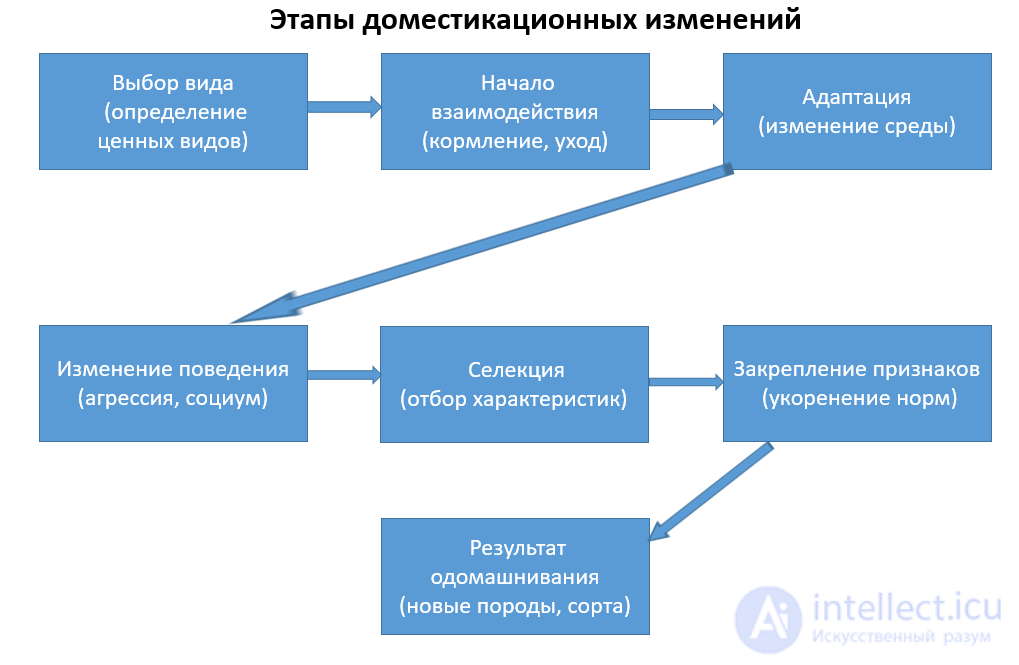 Domestication Changes and the Domestication of Animals