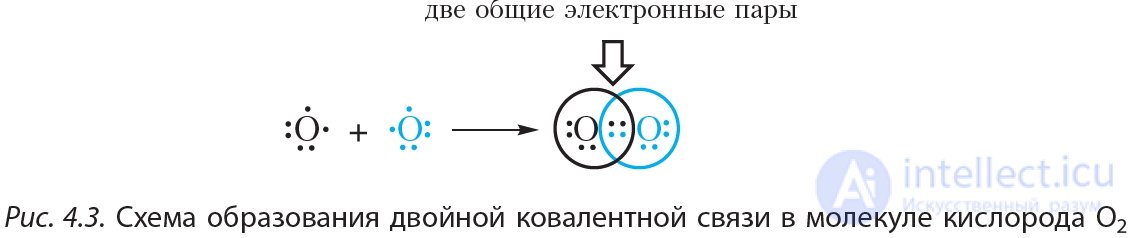 1.4. Covalent bond