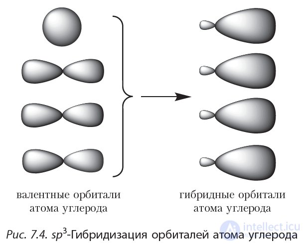 2.7. Spatial Structure of Alkane Molecules. sp3-Hybridization