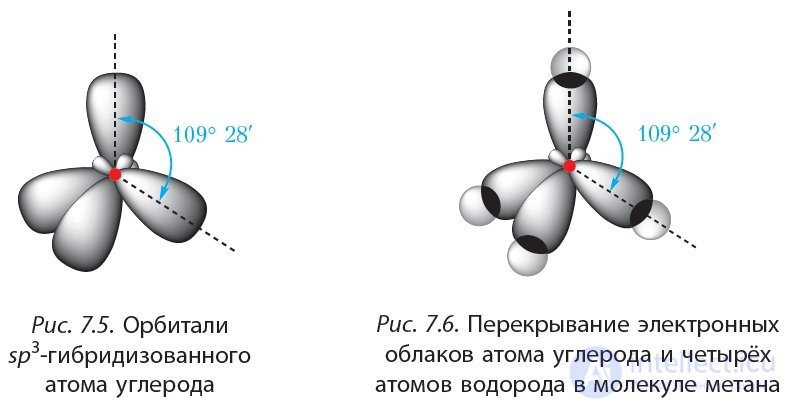 2.7. Spatial Structure of Alkane Molecules. sp3-Hybridization