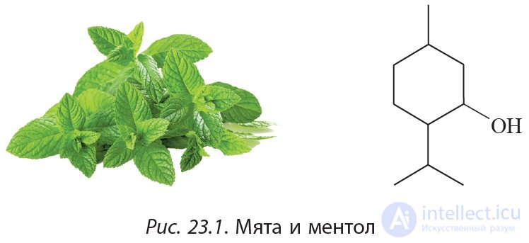 23. Physical properties of alcohols. Hydrogen bonding and its effect on the properties of alcohols