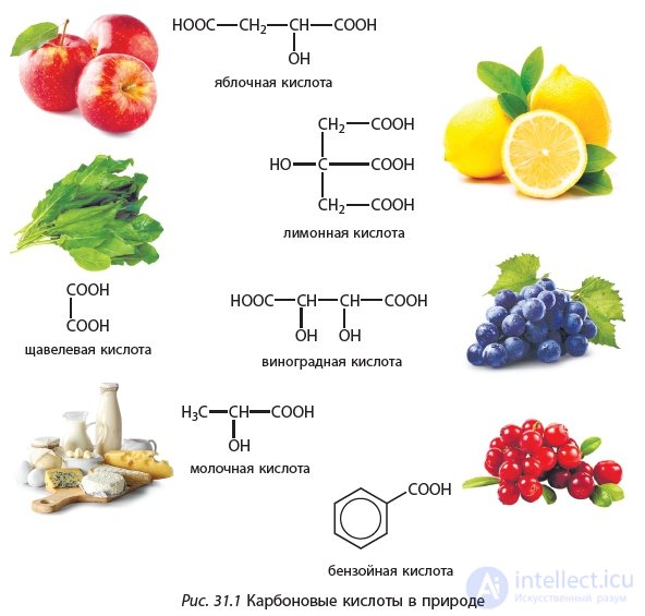 31. Carboxylic Acids. Classification