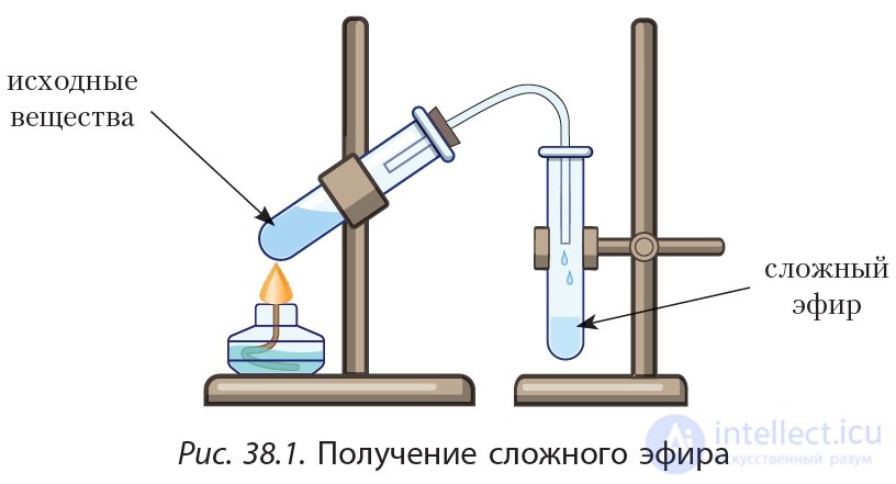 38. Esters