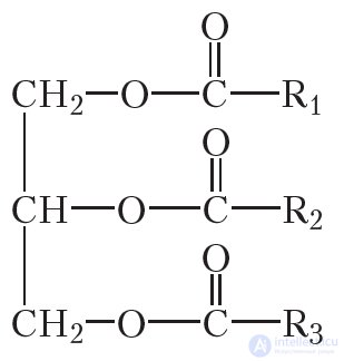 39. Fats. Structure. Physical and Chemical Properties