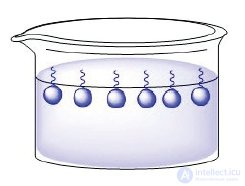39. Fats. Structure. Physical and Chemical Properties