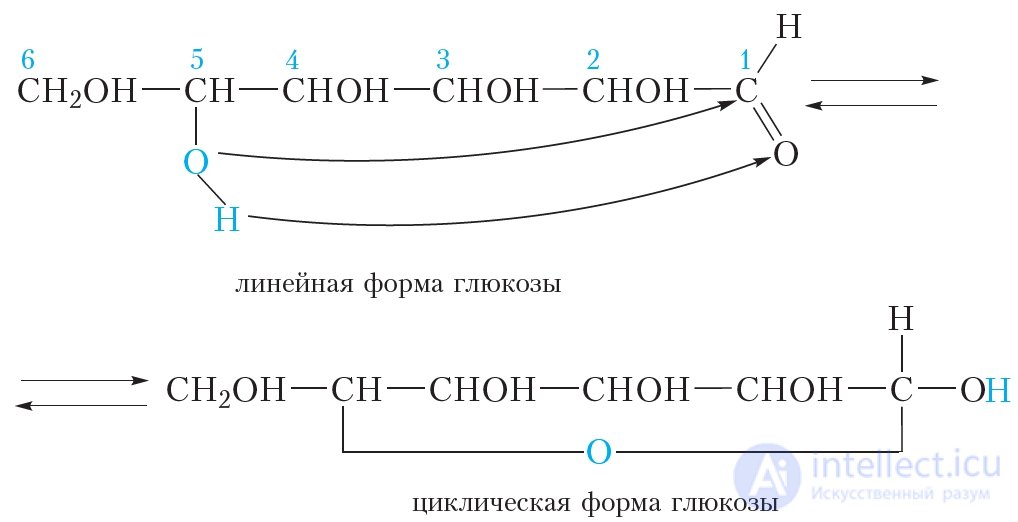 40. Carbohydrates. Glucose