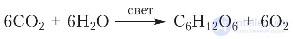 41. Chemical Properties of Glucose