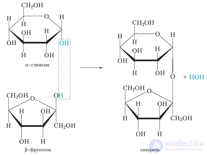 42. Fructose. Sucrose