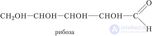 42-1. Ribose. Deoxyribose