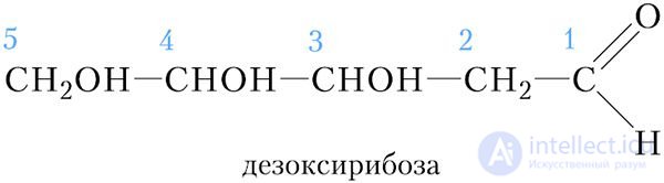 42-1. Ribose. Deoxyribose