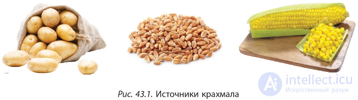 3.43 Starch: Composition and Structure, Chemical Properties of Starch, Uses and Production