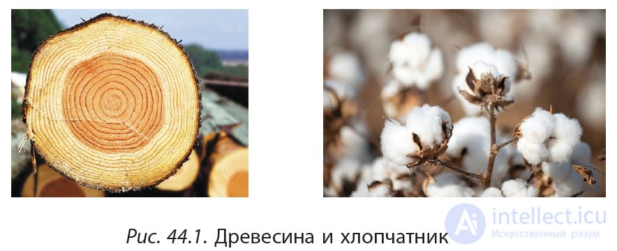 3.44. Cellulose: Structure, Physical and Chemical Properties, Applications
