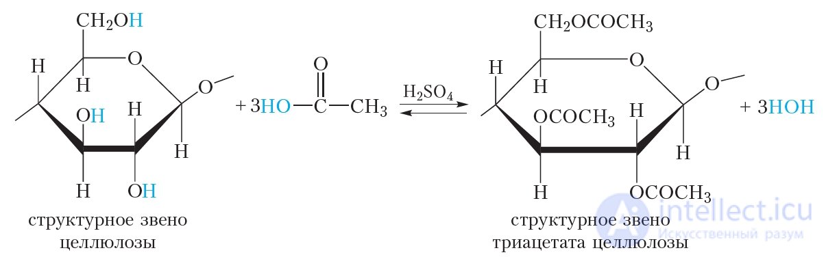 3.44. Cellulose: Structure, Physical and Chemical Properties, Applications