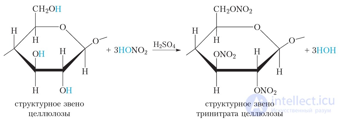 3.44. Cellulose: Structure, Physical and Chemical Properties, Applications