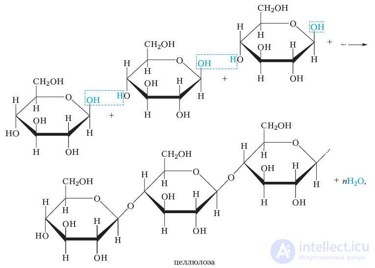3.44. Cellulose: Structure, Physical and Chemical Properties, Applications