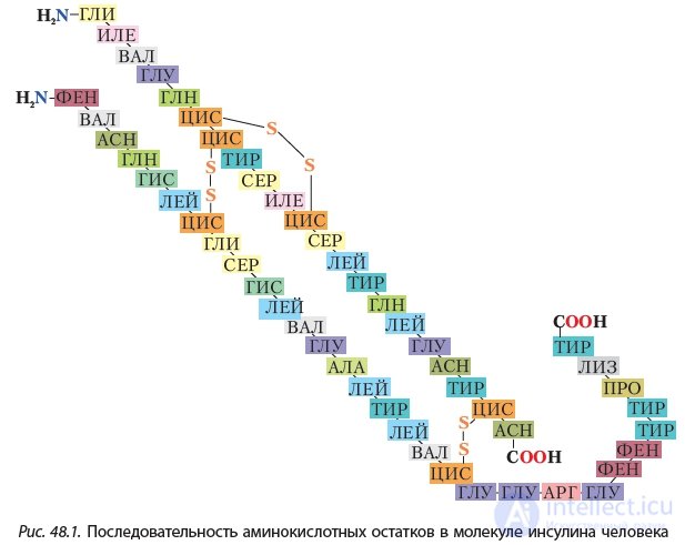 4.48 Proteins. Properties of Proteins