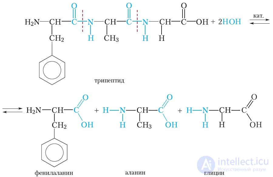 4.48 Proteins. Properties of Proteins