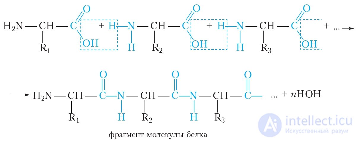 4.48 Proteins. Properties of Proteins
