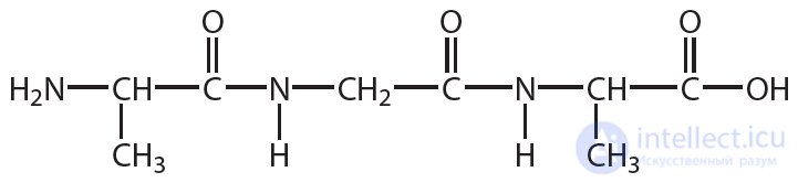 4.48 Proteins. Properties of Proteins