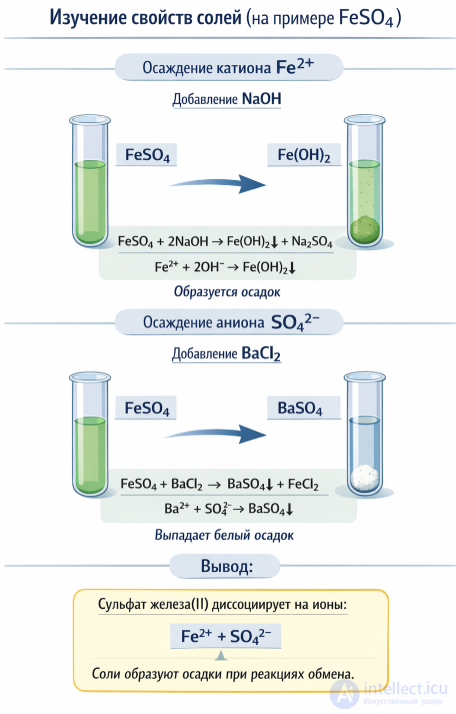 Practical Work 2. Studying the Properties of Acids, Bases, and Salts in Light of the Theory of Electrolytic Dissociation