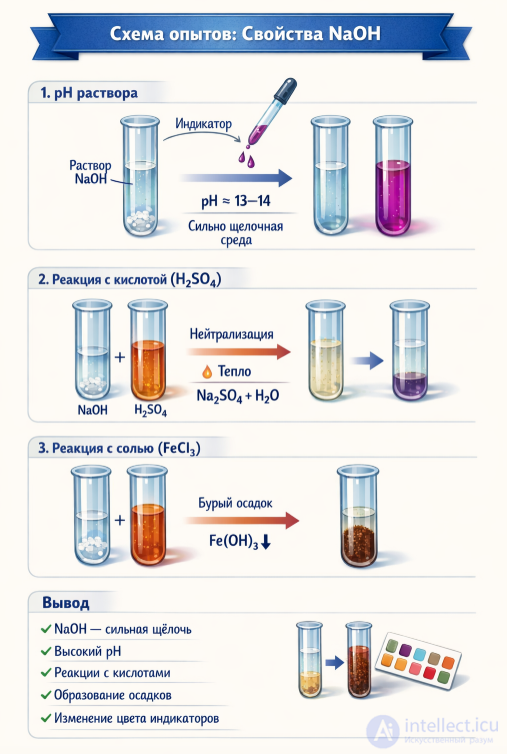 Practical Work 2. Studying the Properties of Acids, Bases, and Salts in Light of the Theory of Electrolytic Dissociation