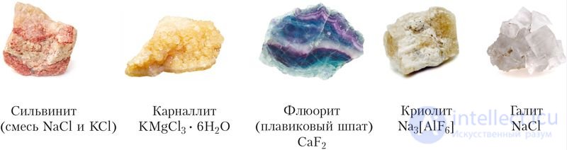 6.30. Halogens as Chemical Elements