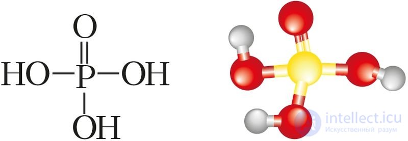 6.39. Oxygen-Containing Compounds of Phosphorus