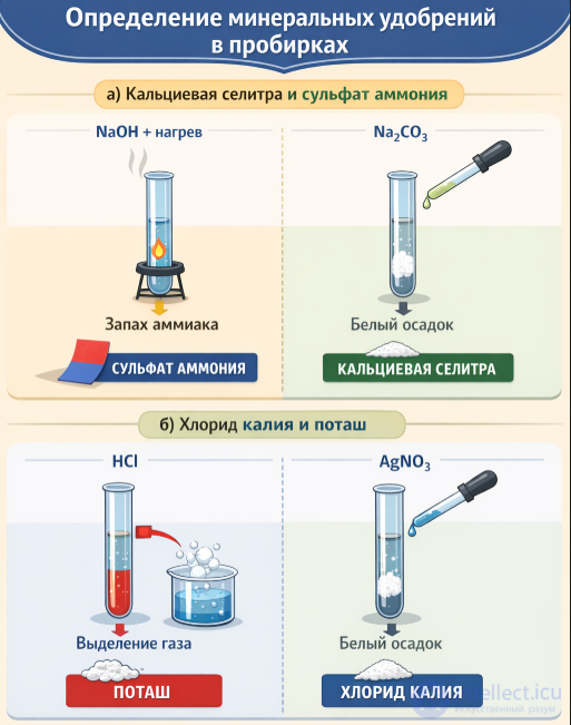 Practical Work 3. Solving Experimental Problems on the Topic Non-Metals