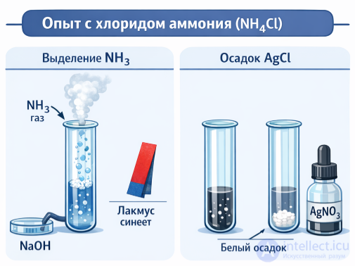 Practical Work 3. Solving Experimental Problems on the Topic Non-Metals