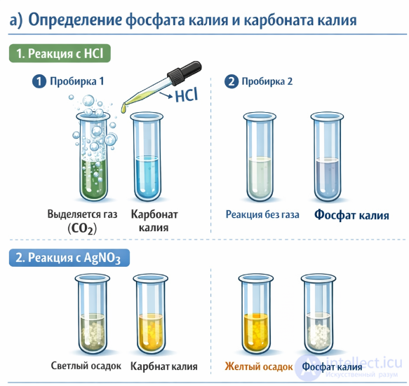 Practical Work 3. Solving Experimental Problems on the Topic Non-Metals