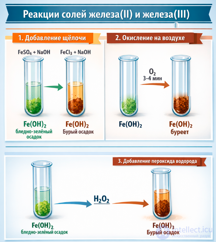 Laboratory experiment 9.1*. Detection of iron(II) and iron(III) ions in solutions