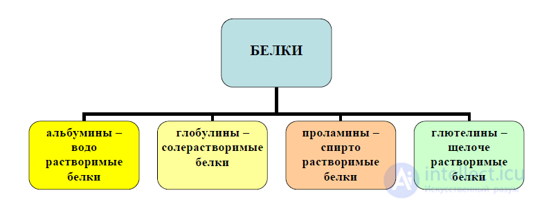 Amino Acids and Proteins in Food Chemistry