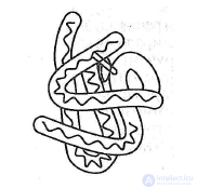 Amino Acids and Proteins in Food Chemistry