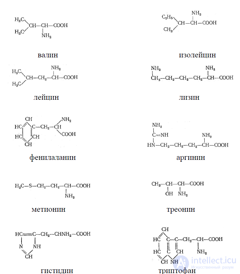 Amino Acids and Proteins in Food Chemistry