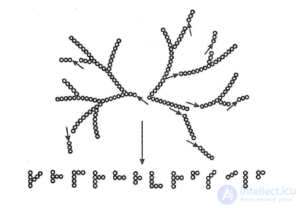 Carbohydrates and Dietary Fiber in Food Chemistry