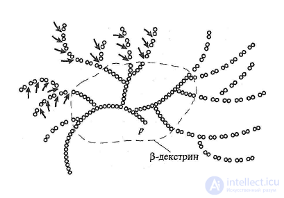 Carbohydrates and Dietary Fiber in Food Chemistry