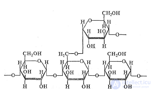 Carbohydrates and Dietary Fiber in Food Chemistry