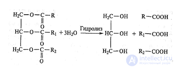 Lipids in Food Chemistry: Saturated vs. Unsaturated Fats
