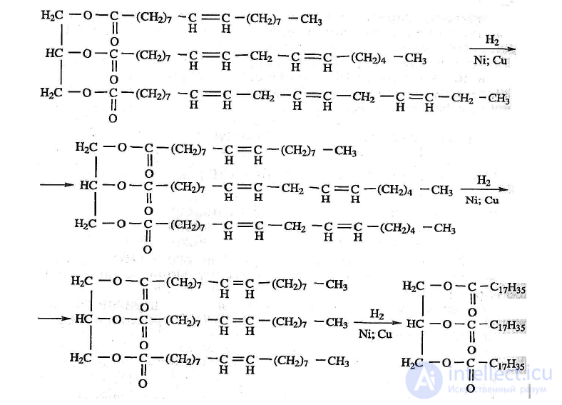 Lipids in Food Chemistry: Saturated vs. Unsaturated Fats