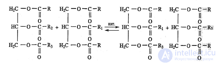 Lipids in Food Chemistry: Saturated vs. Unsaturated Fats