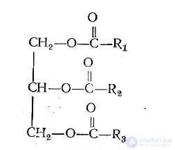 Lipids in Food Chemistry: Saturated vs. Unsaturated Fats