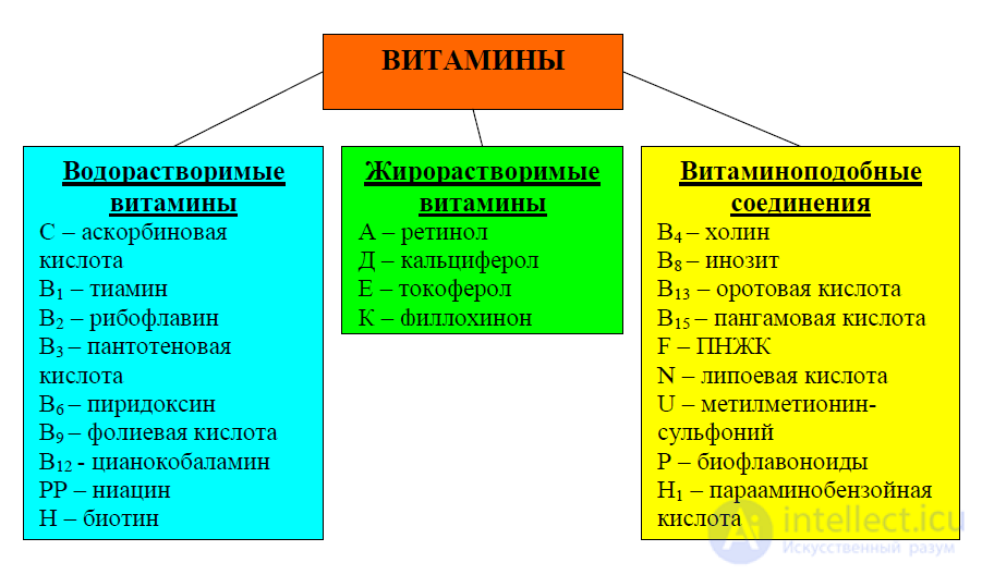Vitamins in Food Chemistry