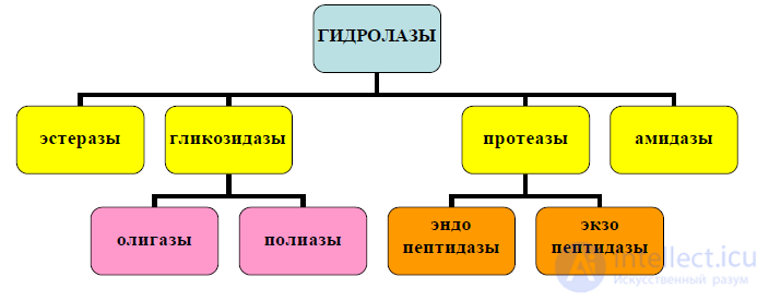 Enzymes and Enzyme Preparations in Food Chemistry