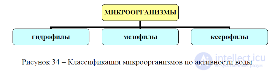 Water in Food Chemistry