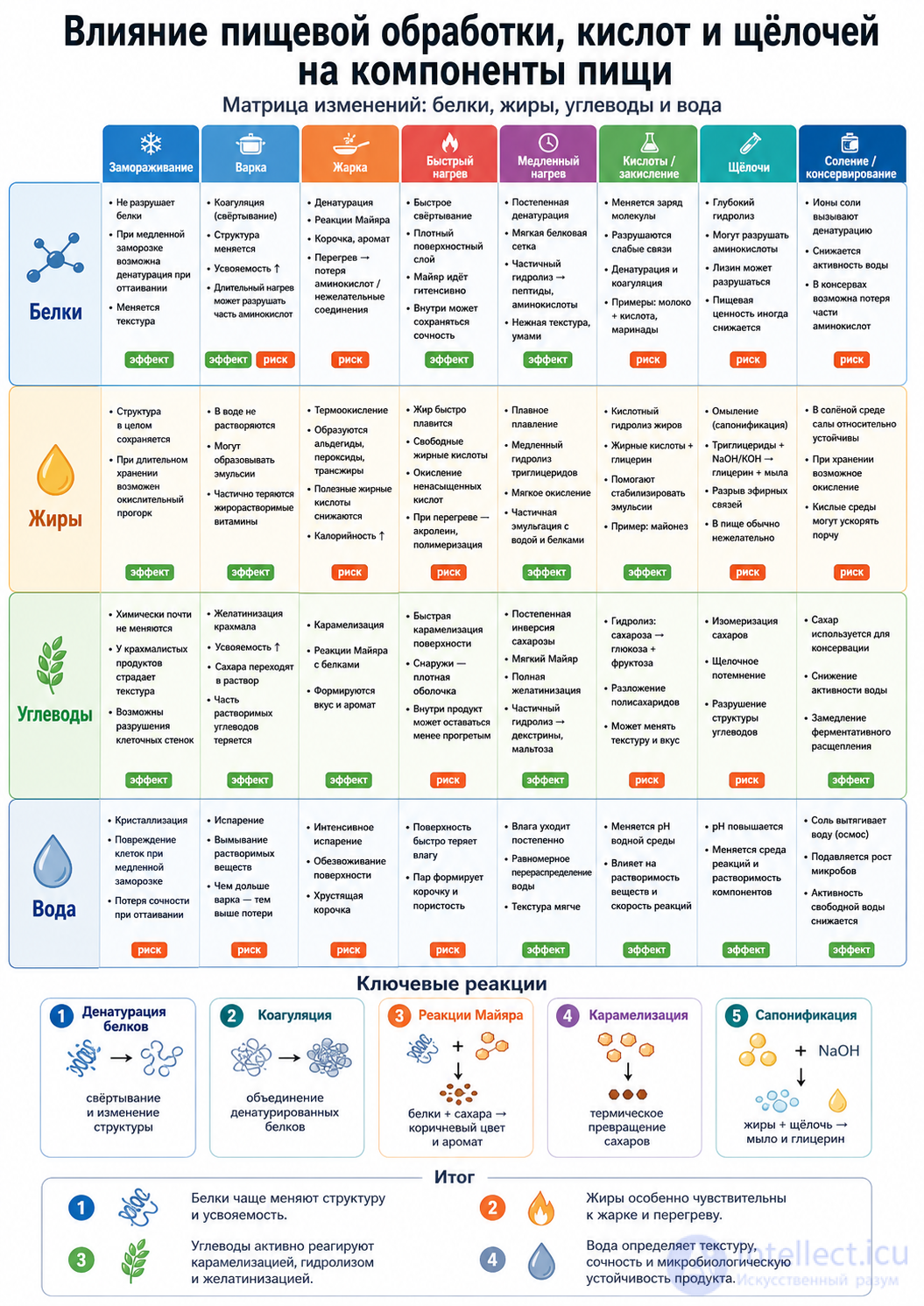 How Food Processing, Acids, and Alkalis Affect Nutrients