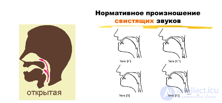 Rhinolalia and Nasality: Hypernasal Speech
