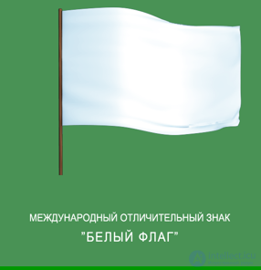 The International Red Cross and Red Crescent Movement