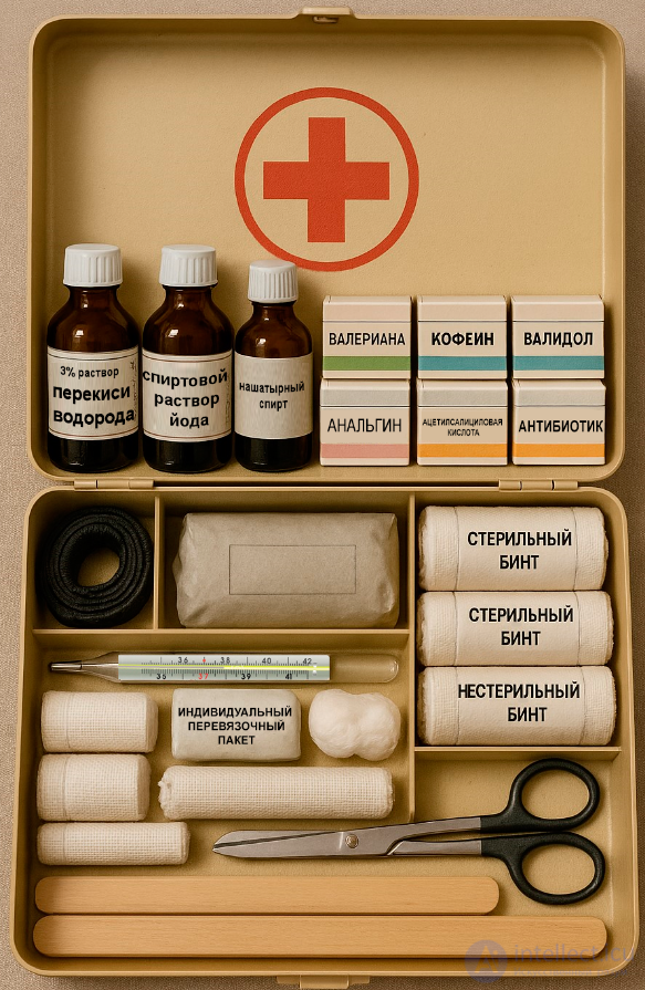 The Importance of First Aid and the Rules for Providing It. Medical Triage