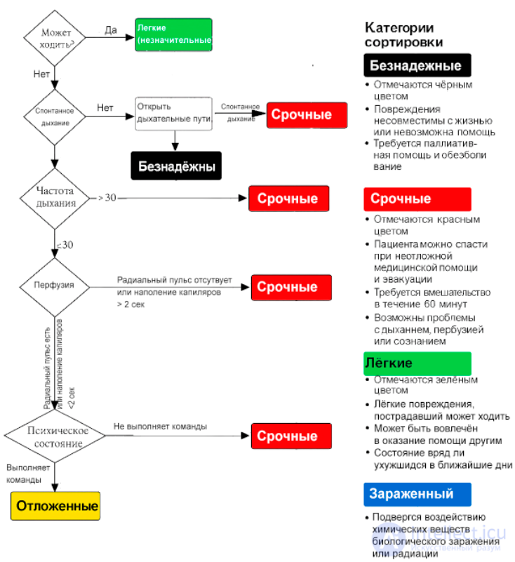 The Importance of First Aid and the Rules for Providing It. Medical Triage